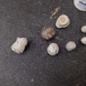 Meet your Posher, Billy